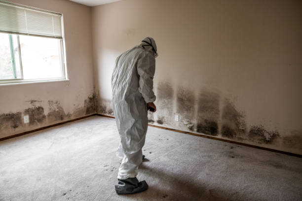 Best Commercial Mold Inspection  in Lake Lorraine, FL